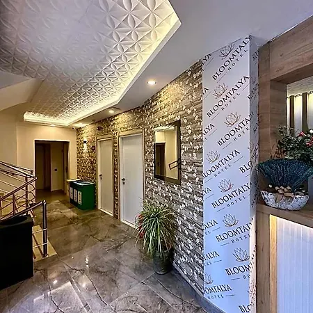 Bloomtalya Αττάλεια